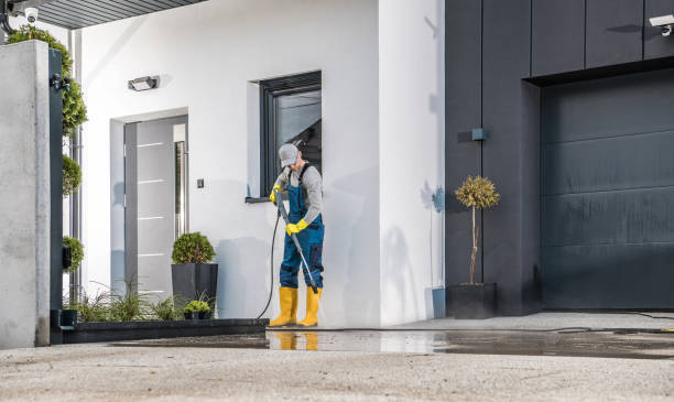 Best Building Exterior Washing  in Alpine, TX
